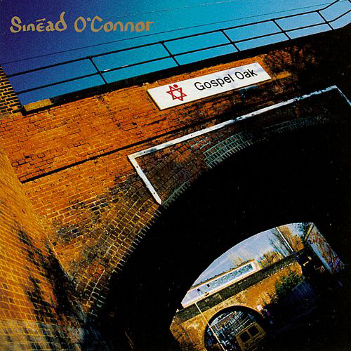 This Is A Rebel Song -  - Sinead O Connor
